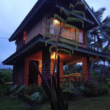 Coconut Homestay Tetebatu Exterior foto