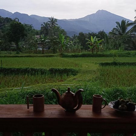 Coconut Homestay Tetebatu Exterior foto