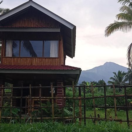 Coconut Homestay Tetebatu Exterior foto