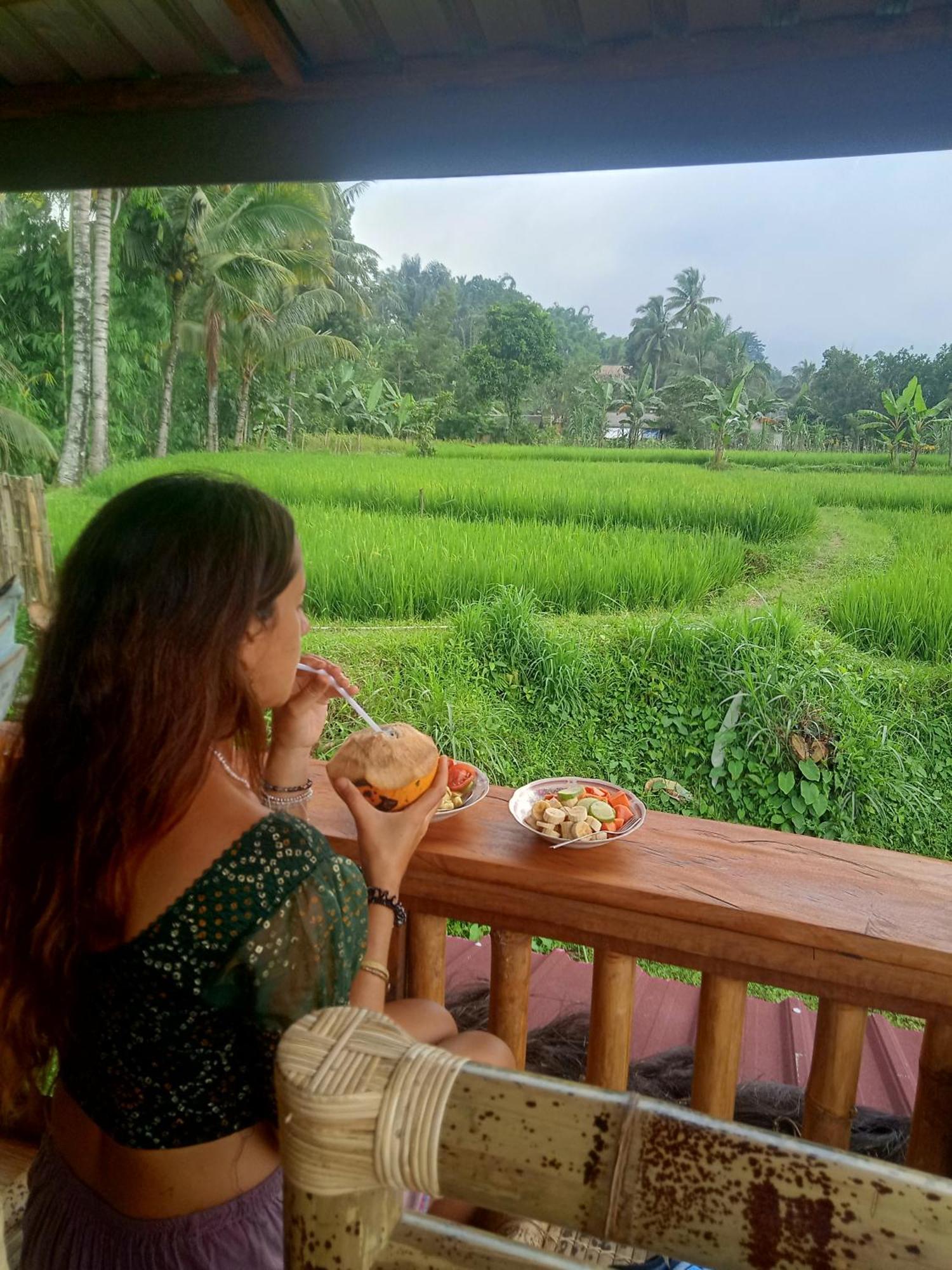 Coconut Homestay Tetebatu Exterior foto