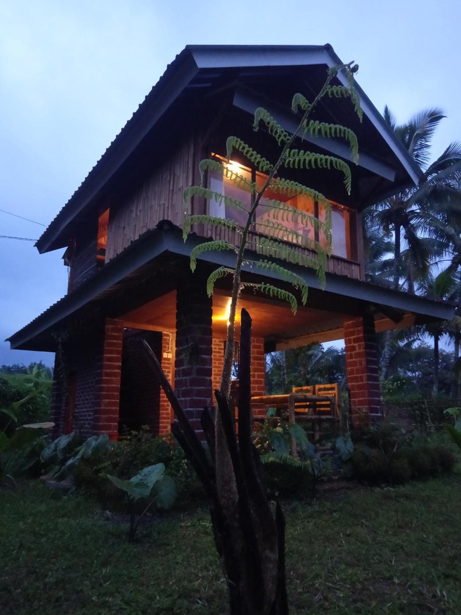 Coconut Homestay Tetebatu Exterior foto
