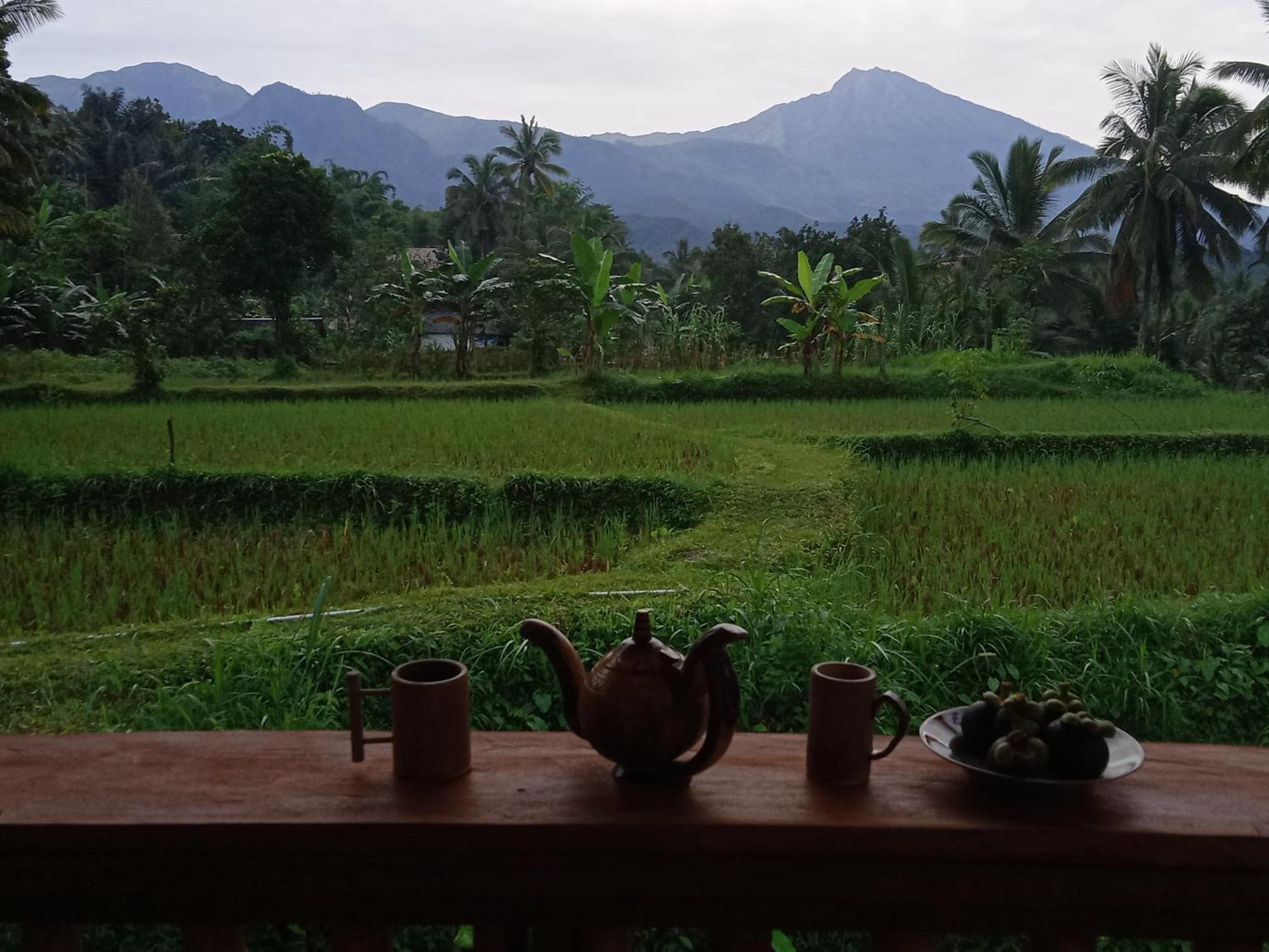 Coconut Homestay Tetebatu Exterior foto